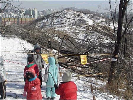 나무가 잘려나간 성미산 